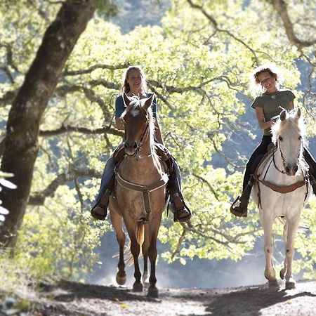 Il Vecchio Mulino Toscana Radicondoli Eksteriør bilde